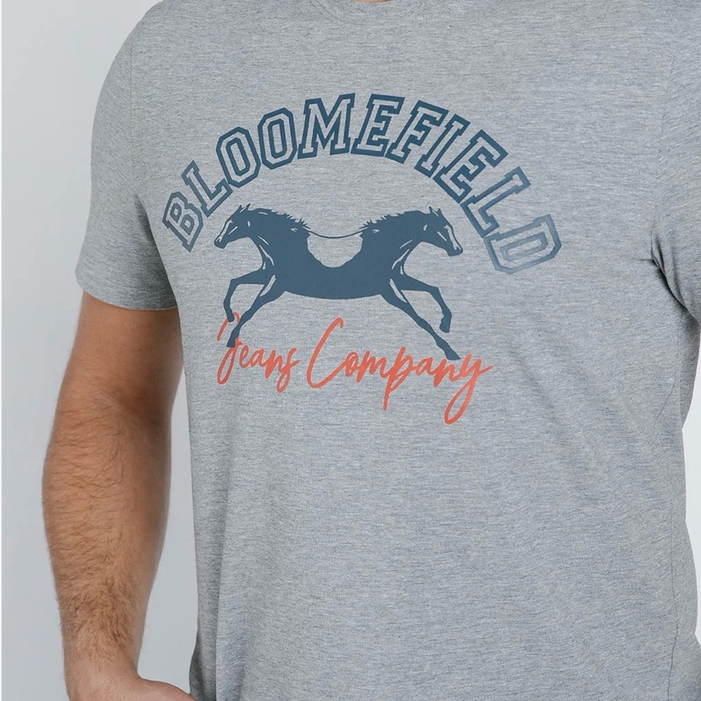 Men's Gray Graphic T-Shirt with blue/red logo.